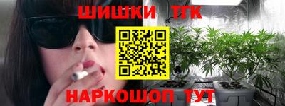 тгк Новодвинск