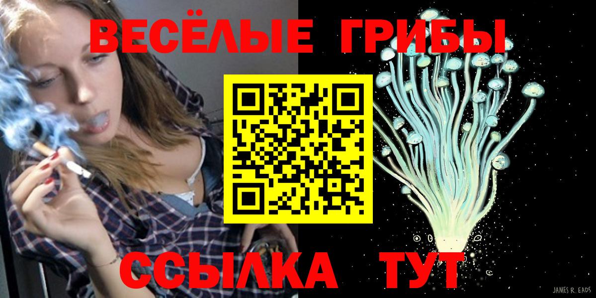Чехов  Галлюциногенные грибы мицелий  Вход с VPN 
